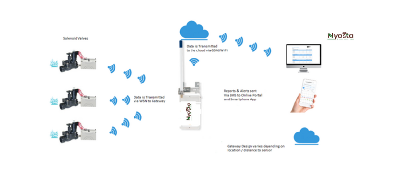 Wireless Sensor Network