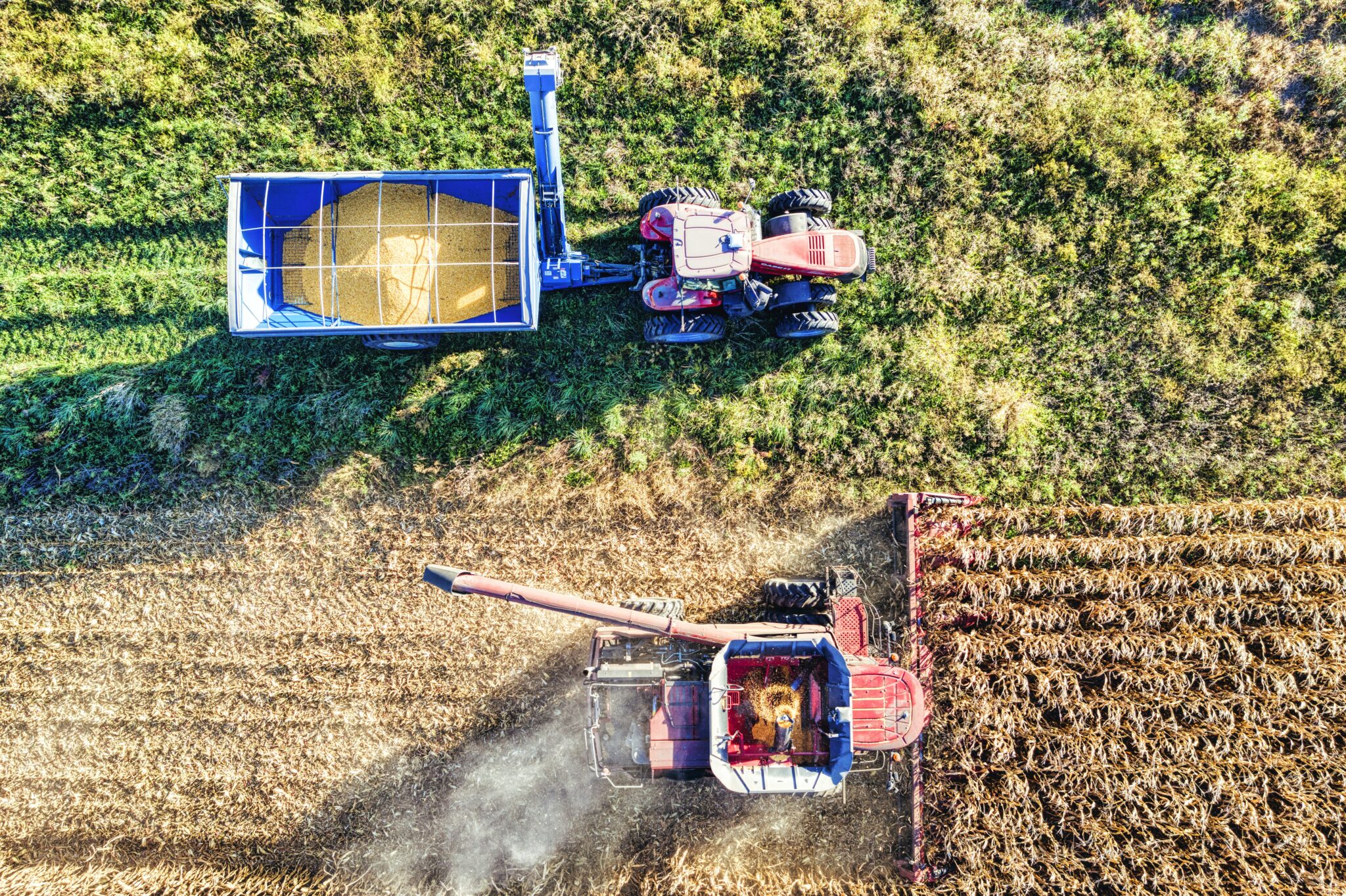 Smart Farming Image 1